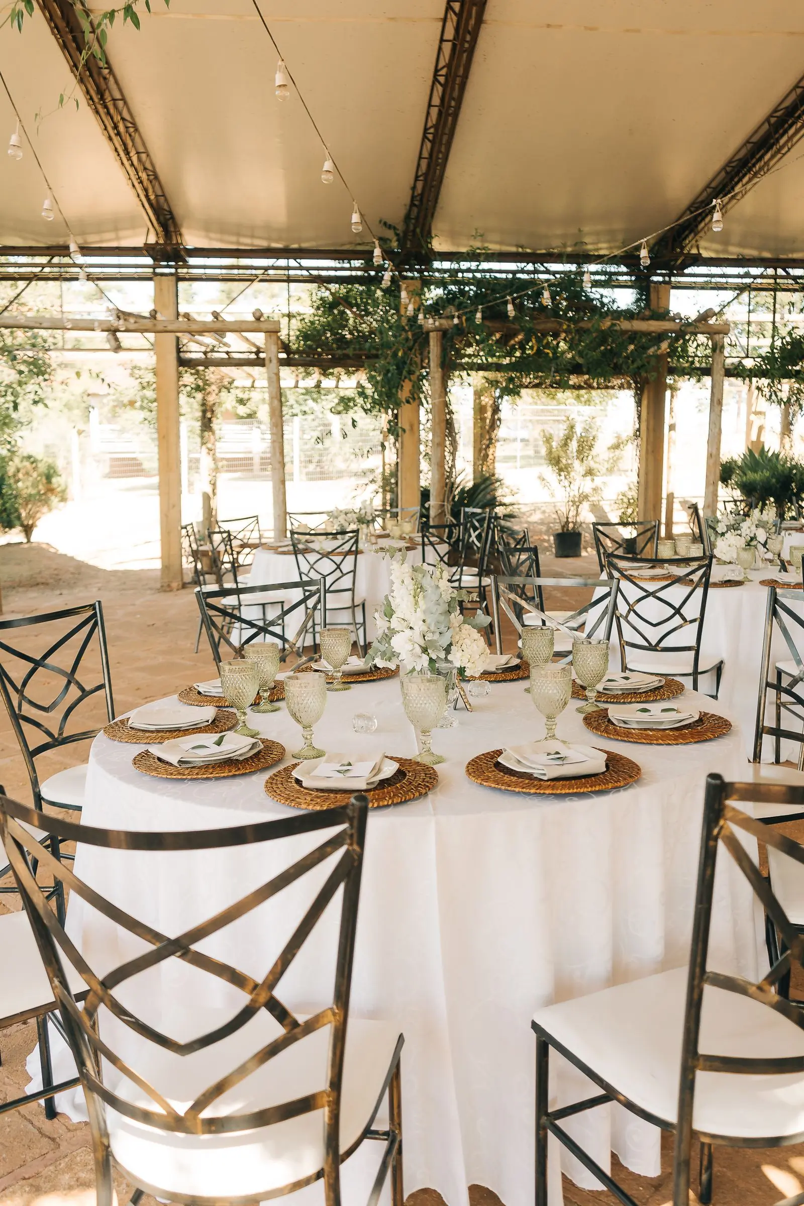 A long table set under a vine-covered pergola with dark bentwood chairs