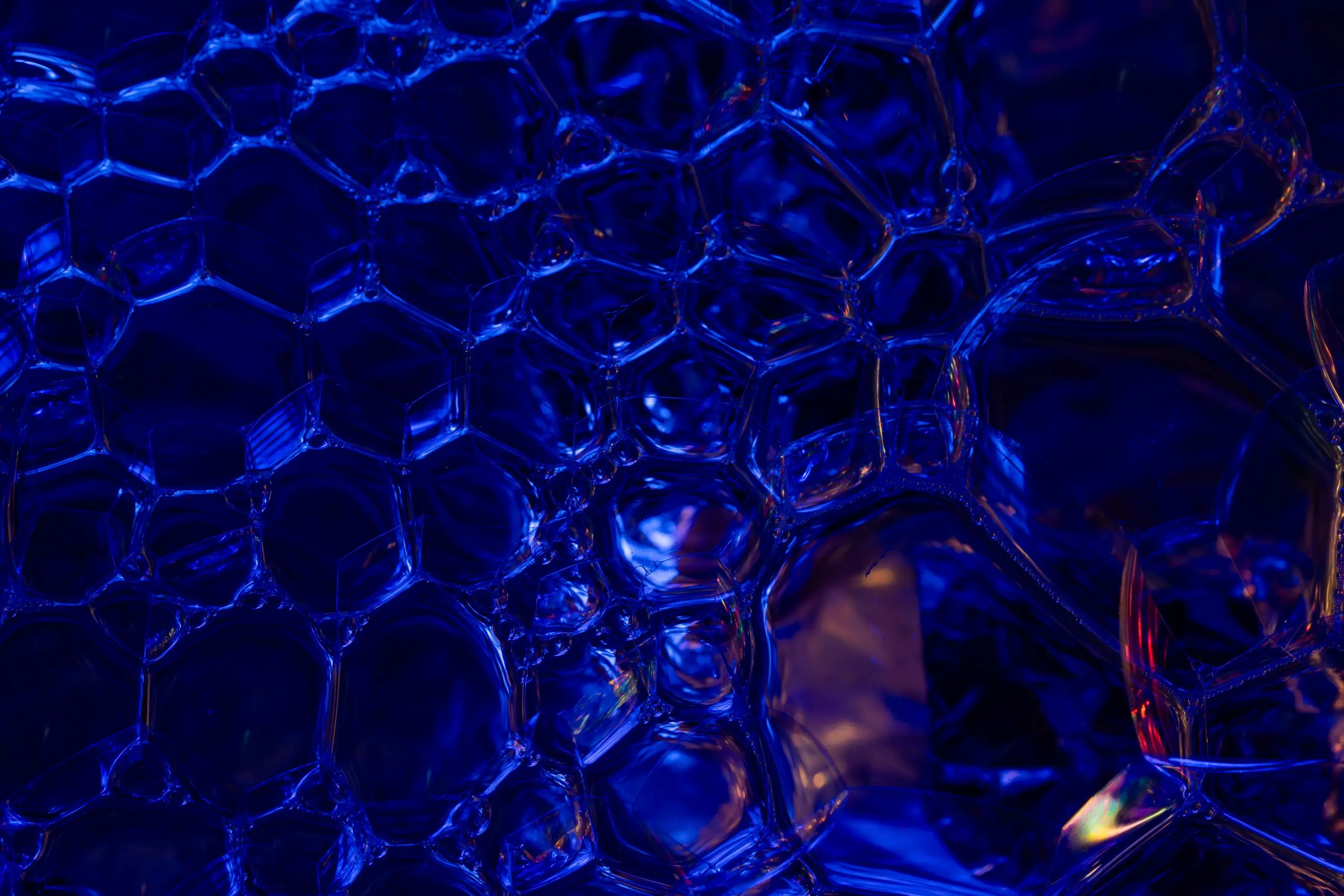 A close-up of cell structures under laboratory light
