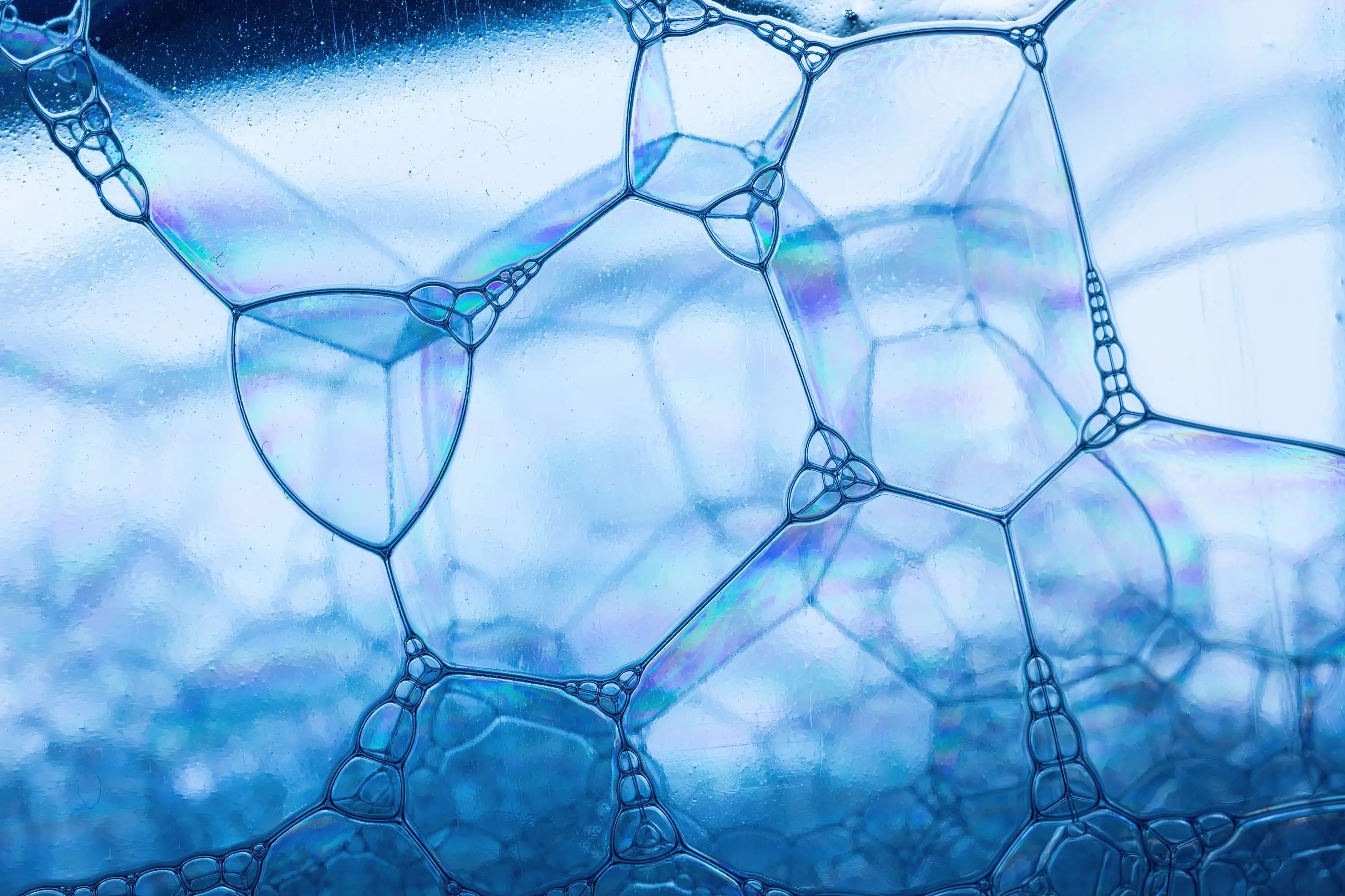 A close-up of cell structures under laboratory light