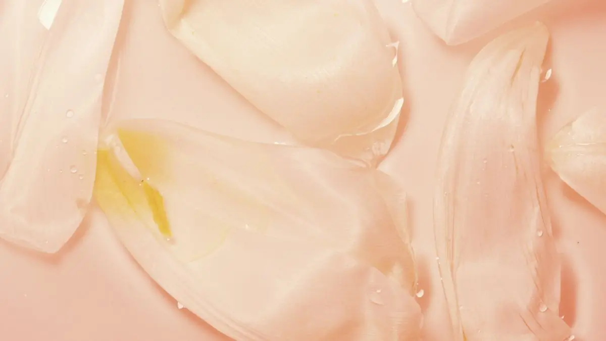 Pale blush petals beaded with water droplets, filling the frame over a soft peach ground