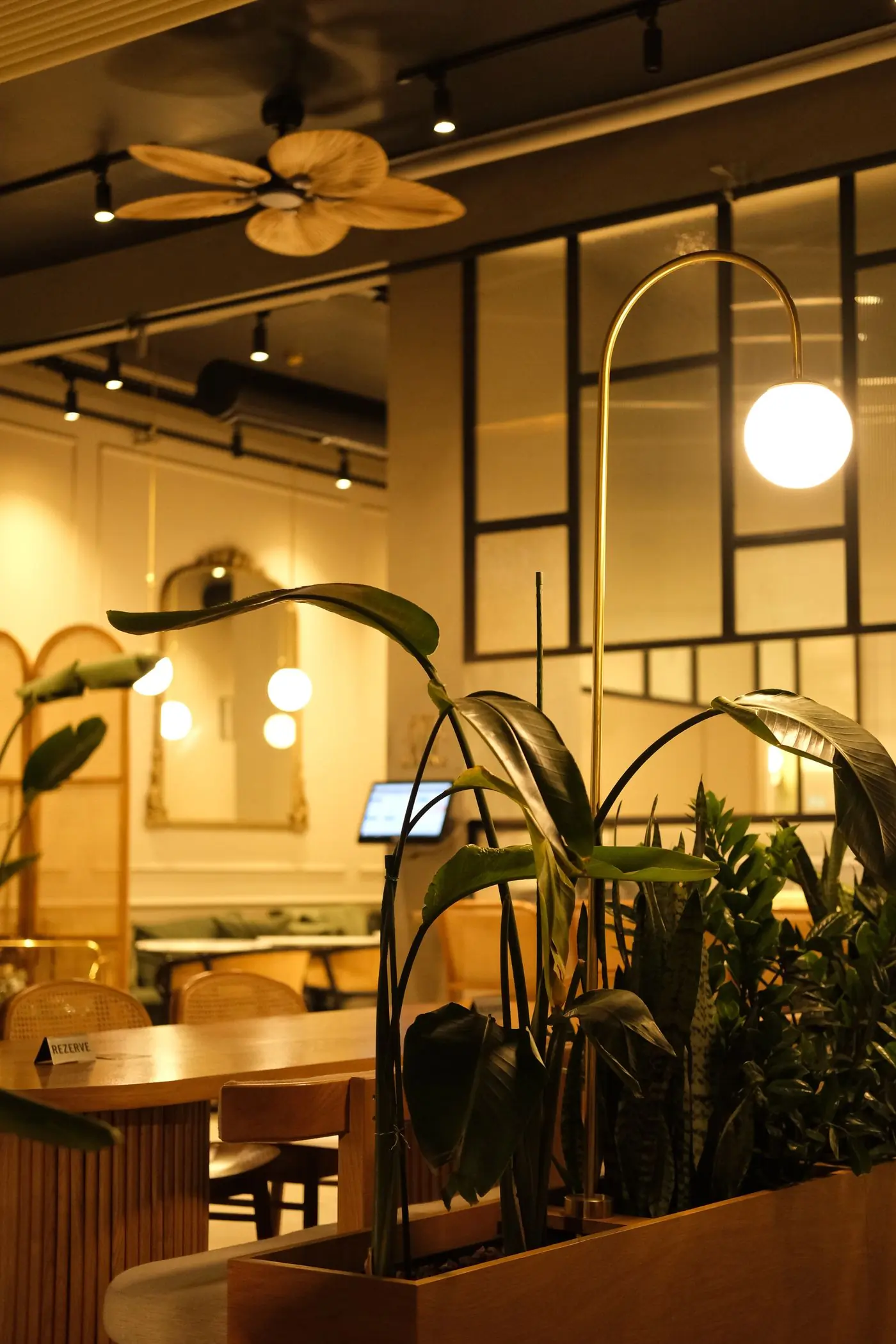 The planted terrace at Basil