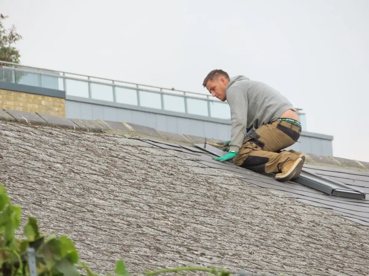 A roofer laying sheets on a stripped roof