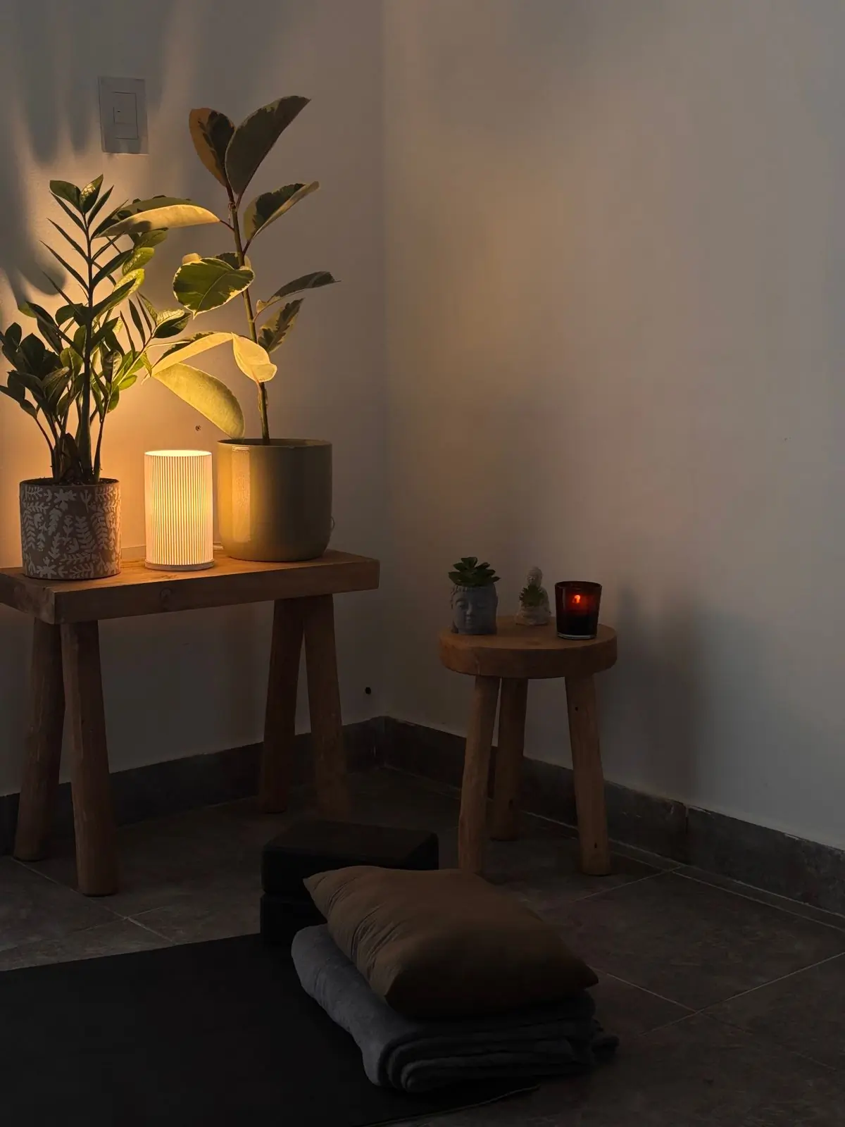 A quiet corner of the house with a lamp, a potted plant and a lit candle on a low table