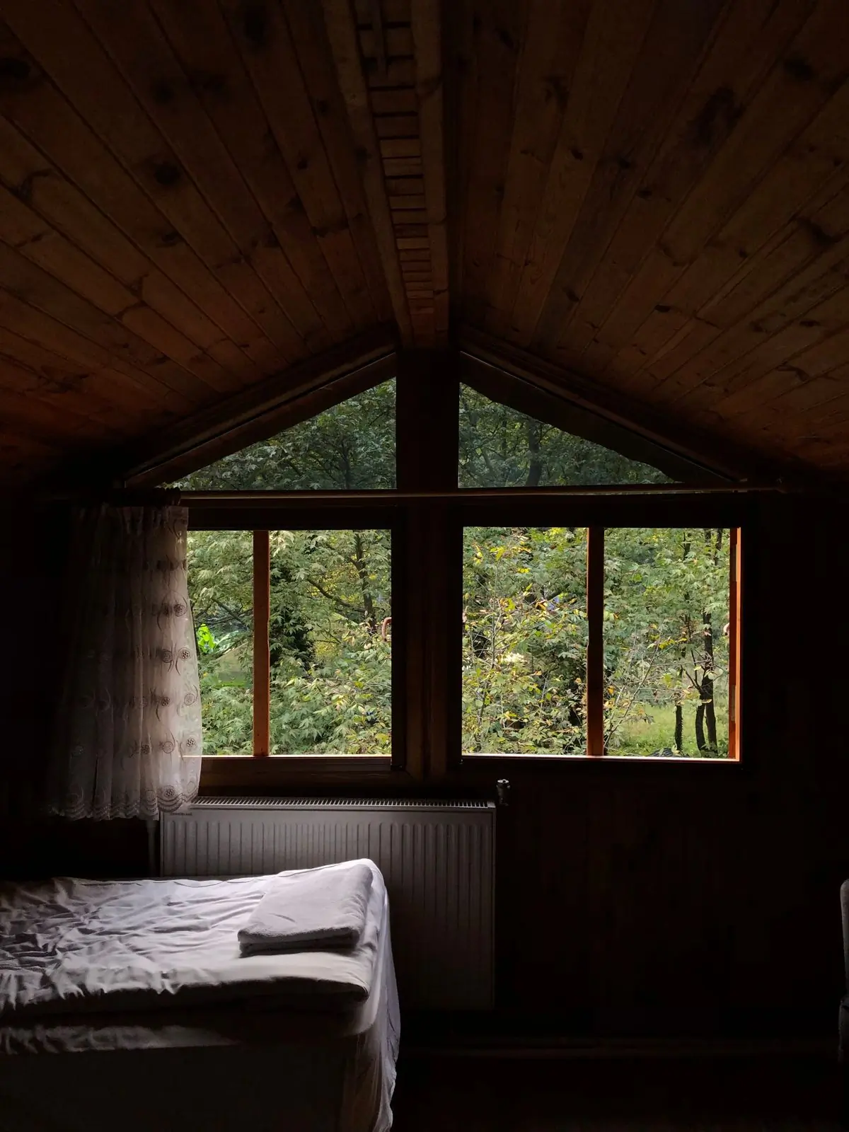 A timber cabin interior looking out through a large window onto dense forest
