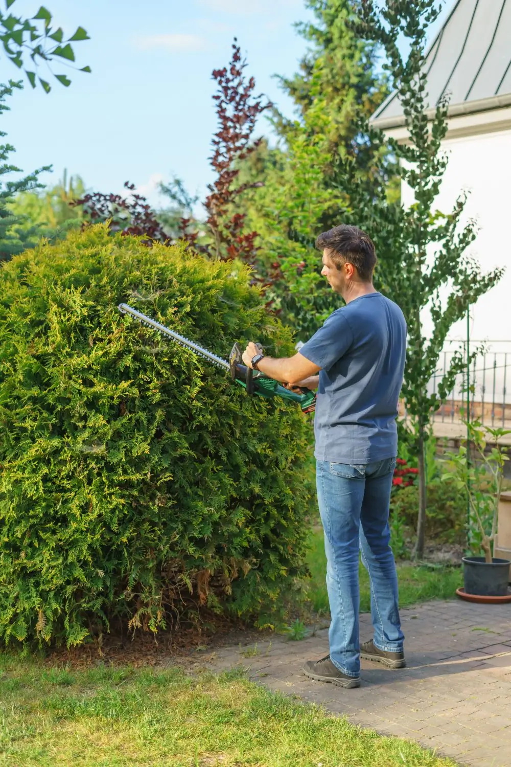 A gardener trimming a hedge on a client's compound