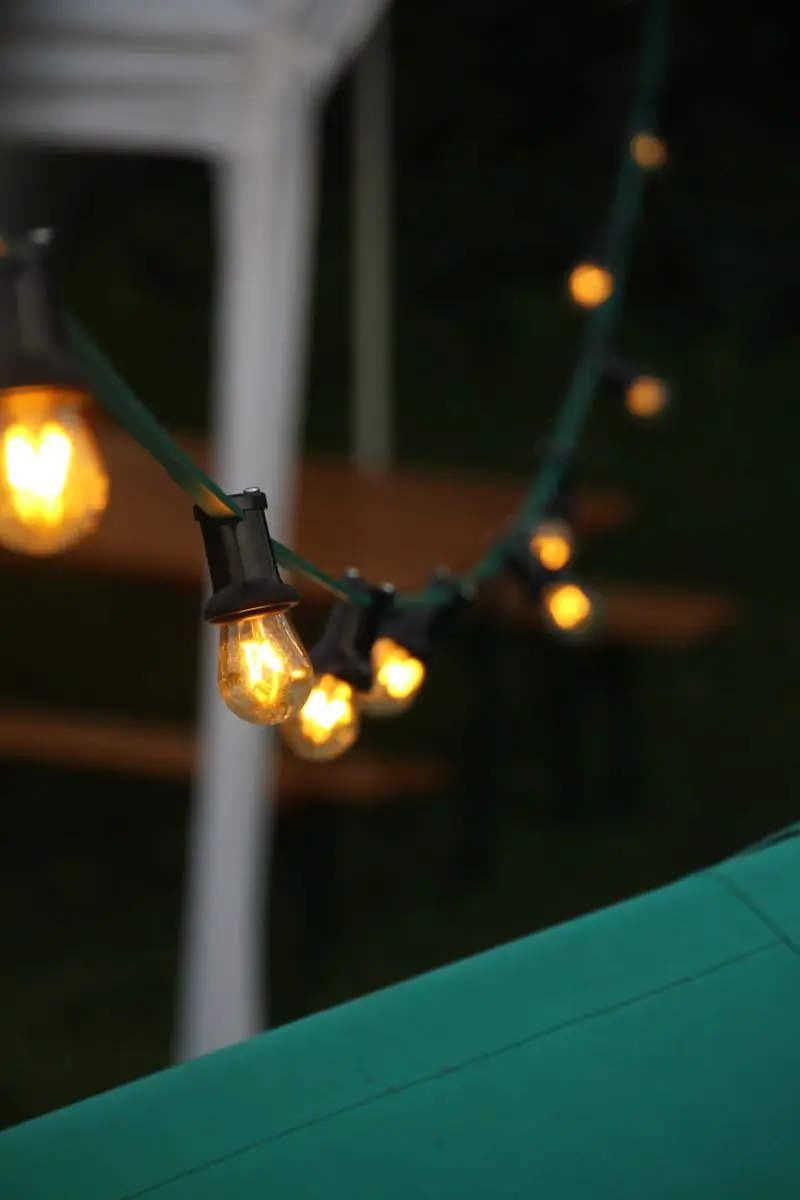 Warm festoon bulbs strung above an outdoor party