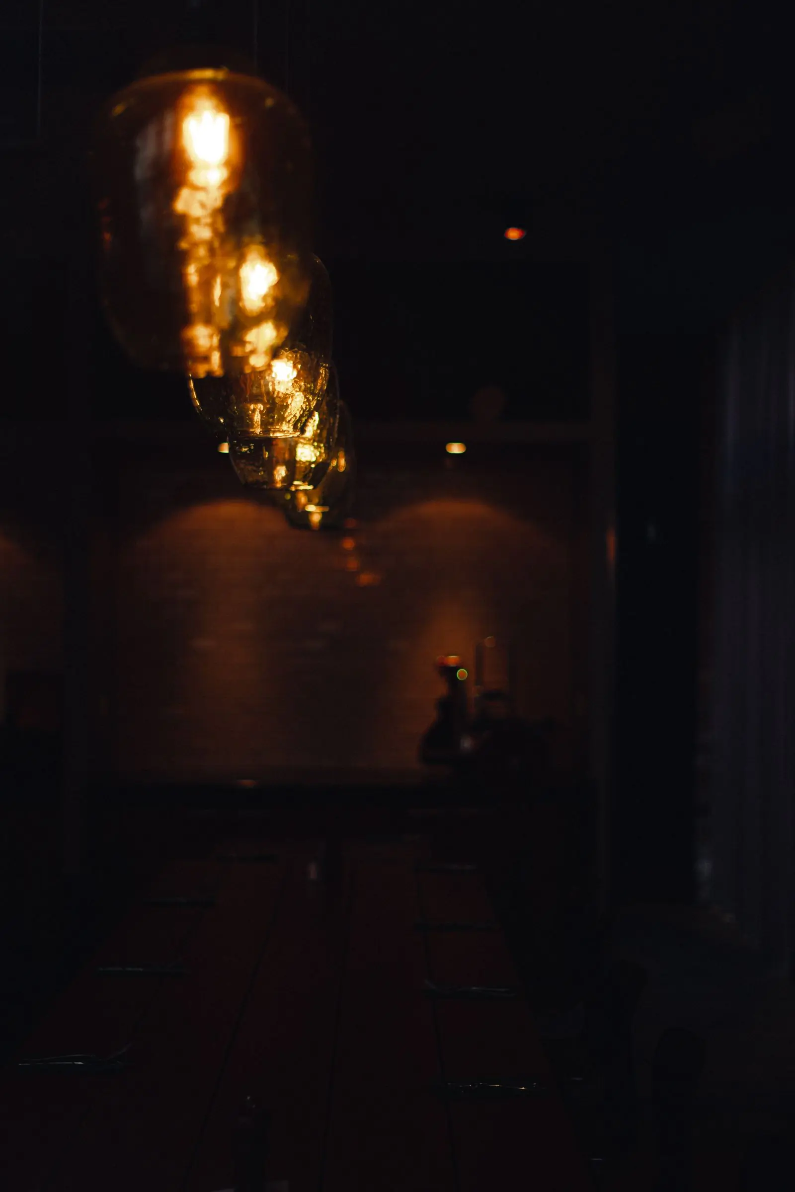 Bulbs strung across the ceiling of the dining room at Feast