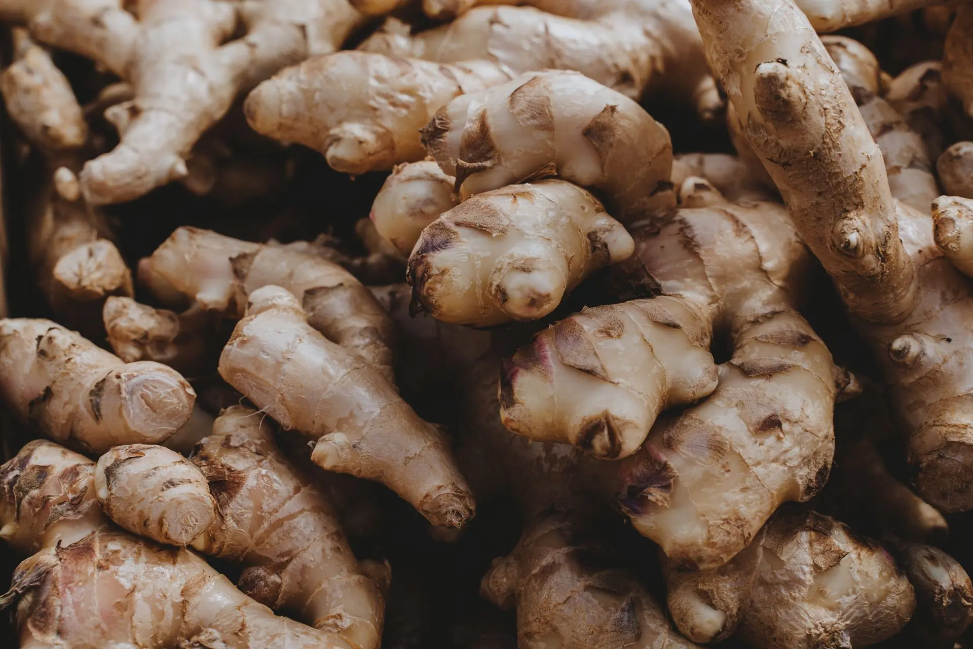 Ginger roots filling the frame in muted low key tones