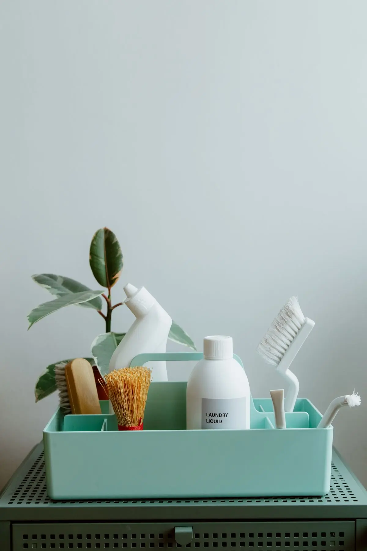 A caddy of plant-based cleaning products beside a houseplant