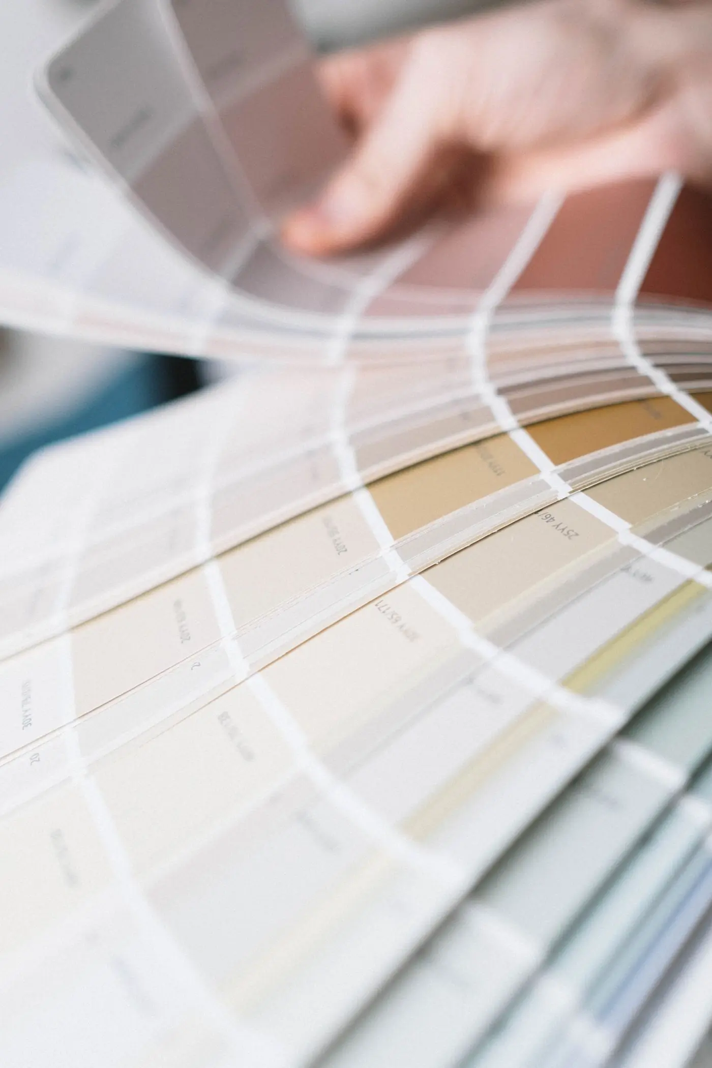 The firm's swatch deck fanned open across a bench