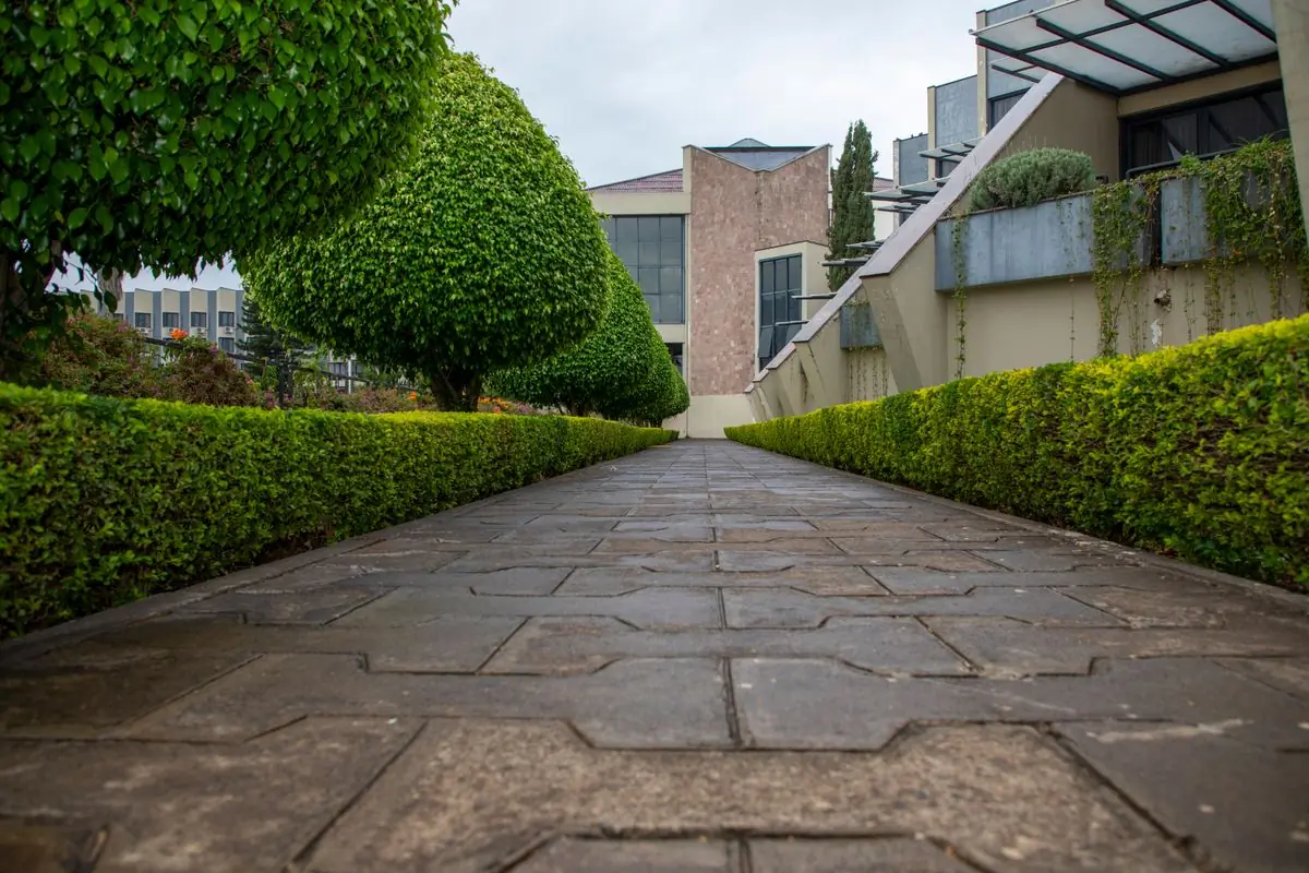 A paved avenue flanked by clipped hedges leading to an office frontage