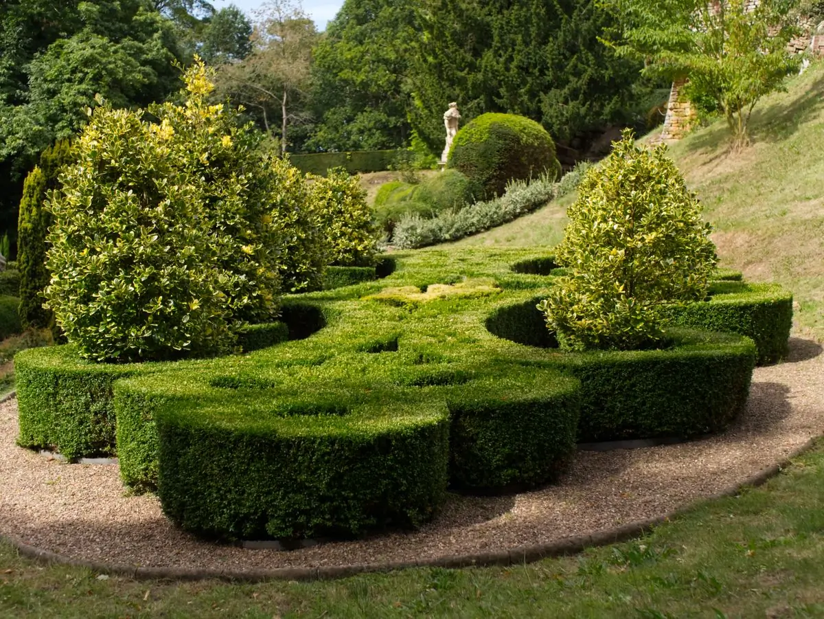 A topiary garden of clipped box and yew shapes