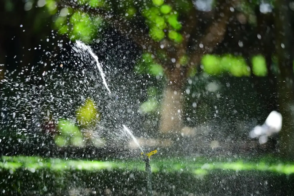 A sprinkler throwing water across a lawn in low sun