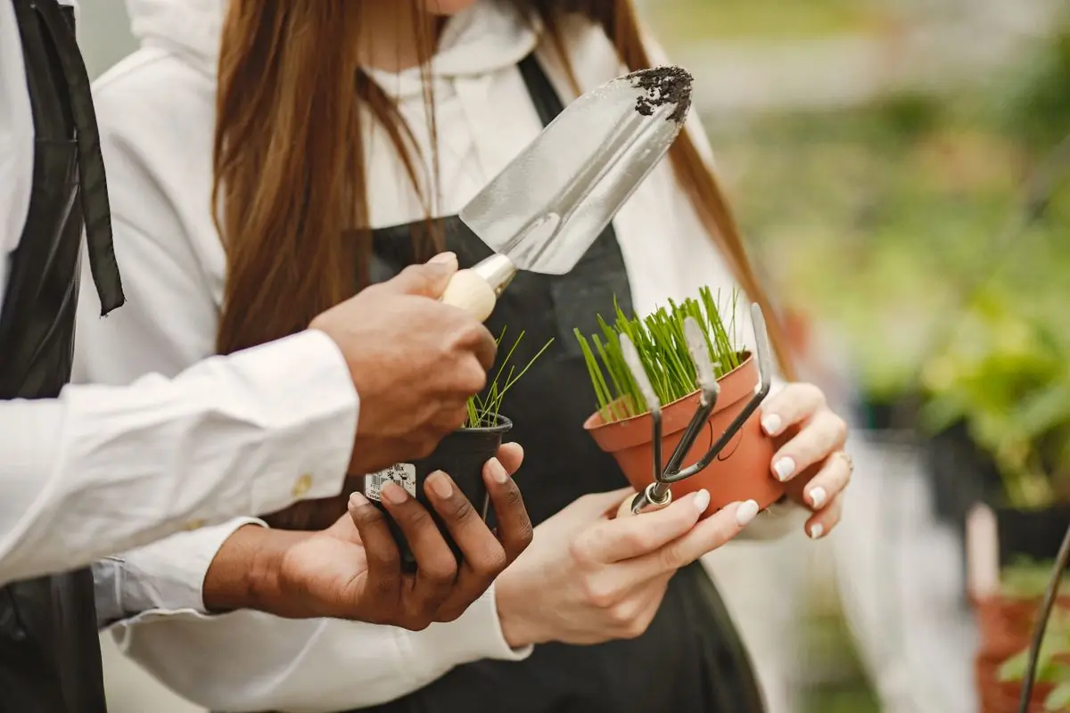 A gardener handing over a potted plant while talking a client through a scheme