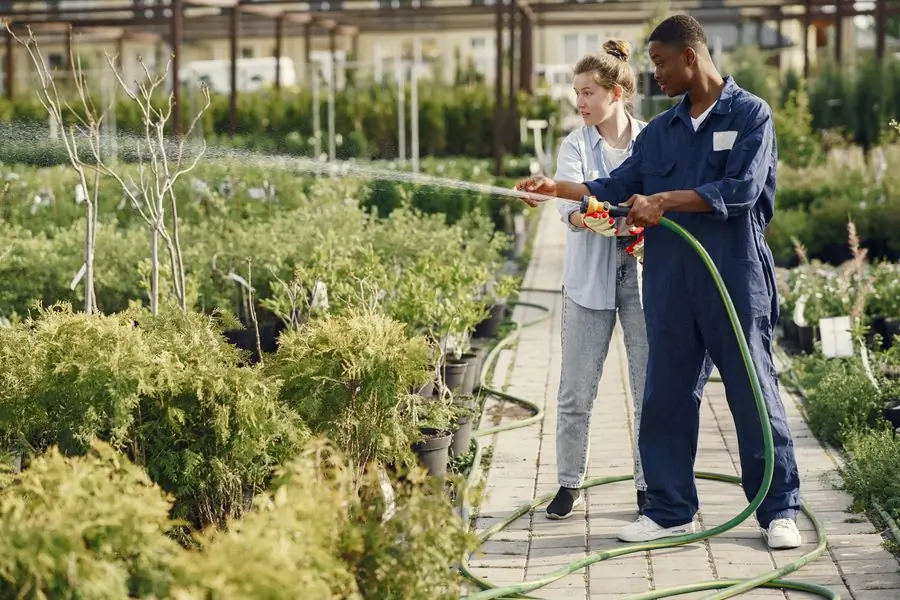 Two Grove gardeners going through a planting plan at the nursery
