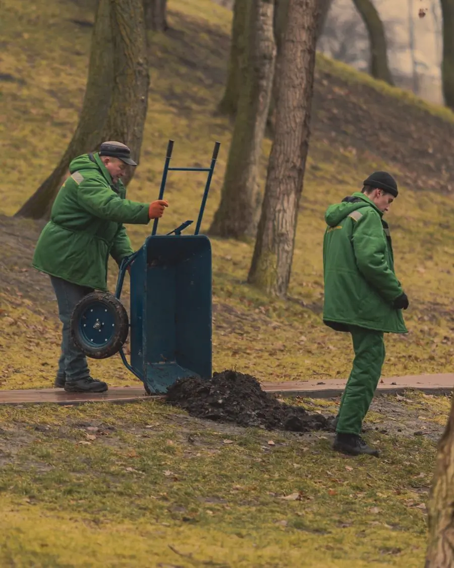Two gardeners in uniform moving mulch by wheelbarrow