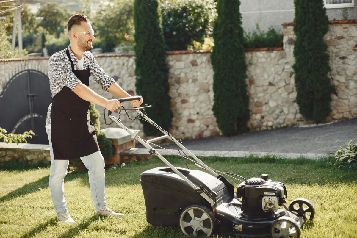 A gardener mowing a lawn beside a clipped hedge wall