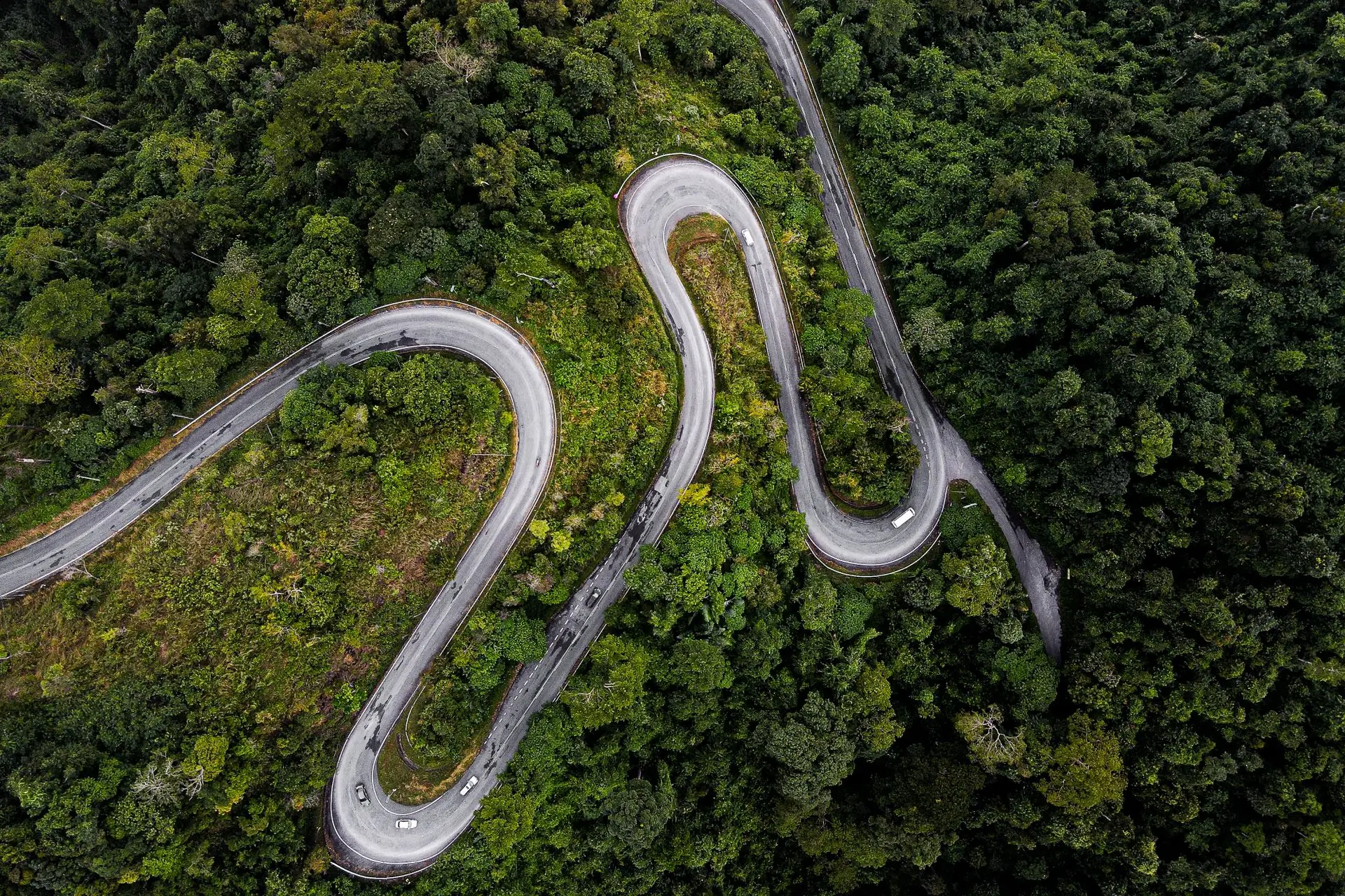 An aerial view of a road winding through dense forest