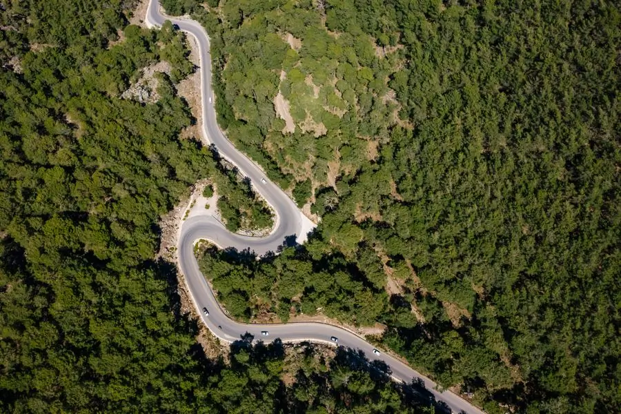 An aerial view of a road curving through forest