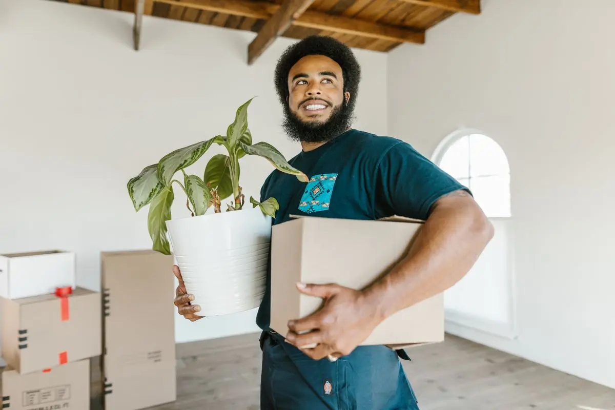 A mover carrying a packed carton and a houseplant into a bright new flat