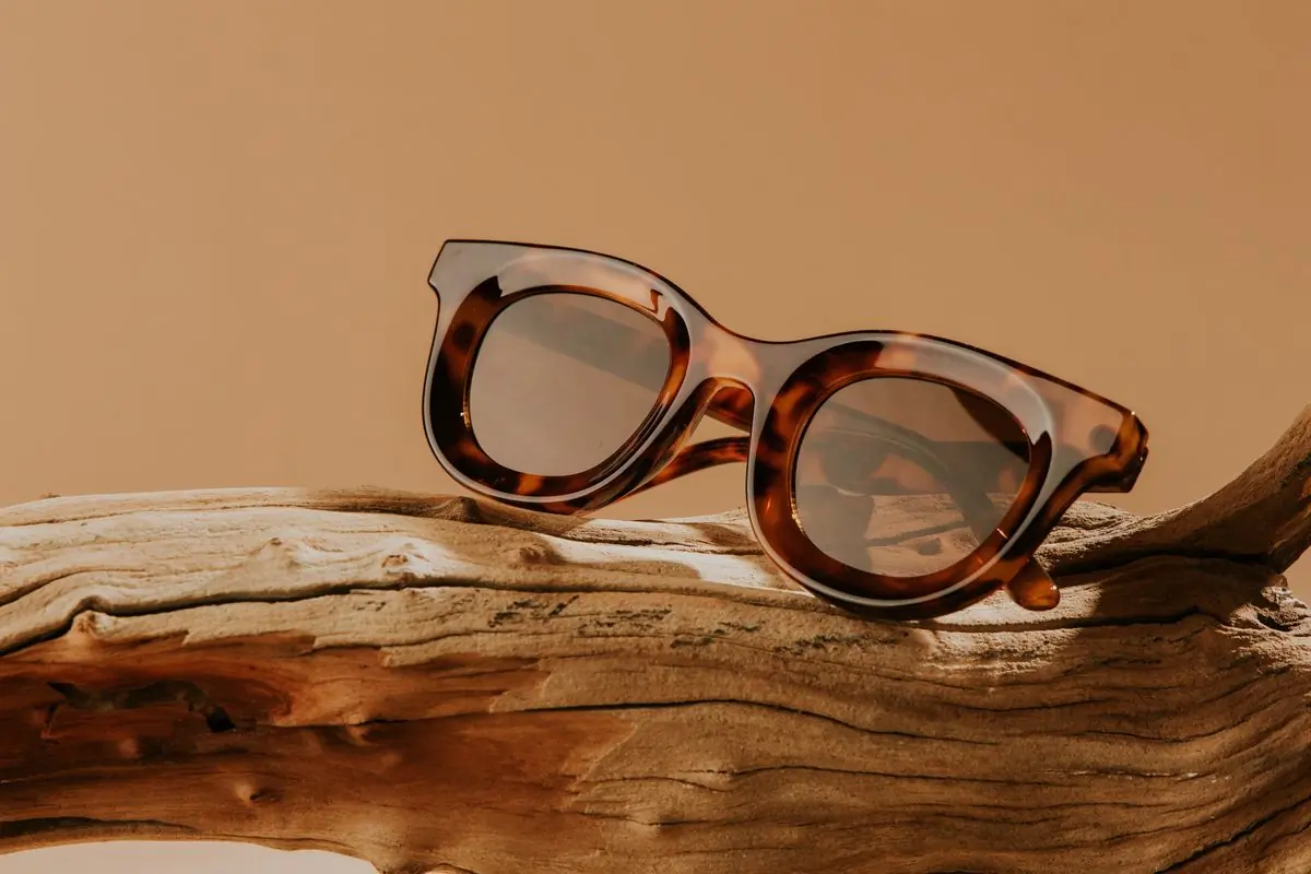 Tortoiseshell sunglasses resting on weathered driftwood