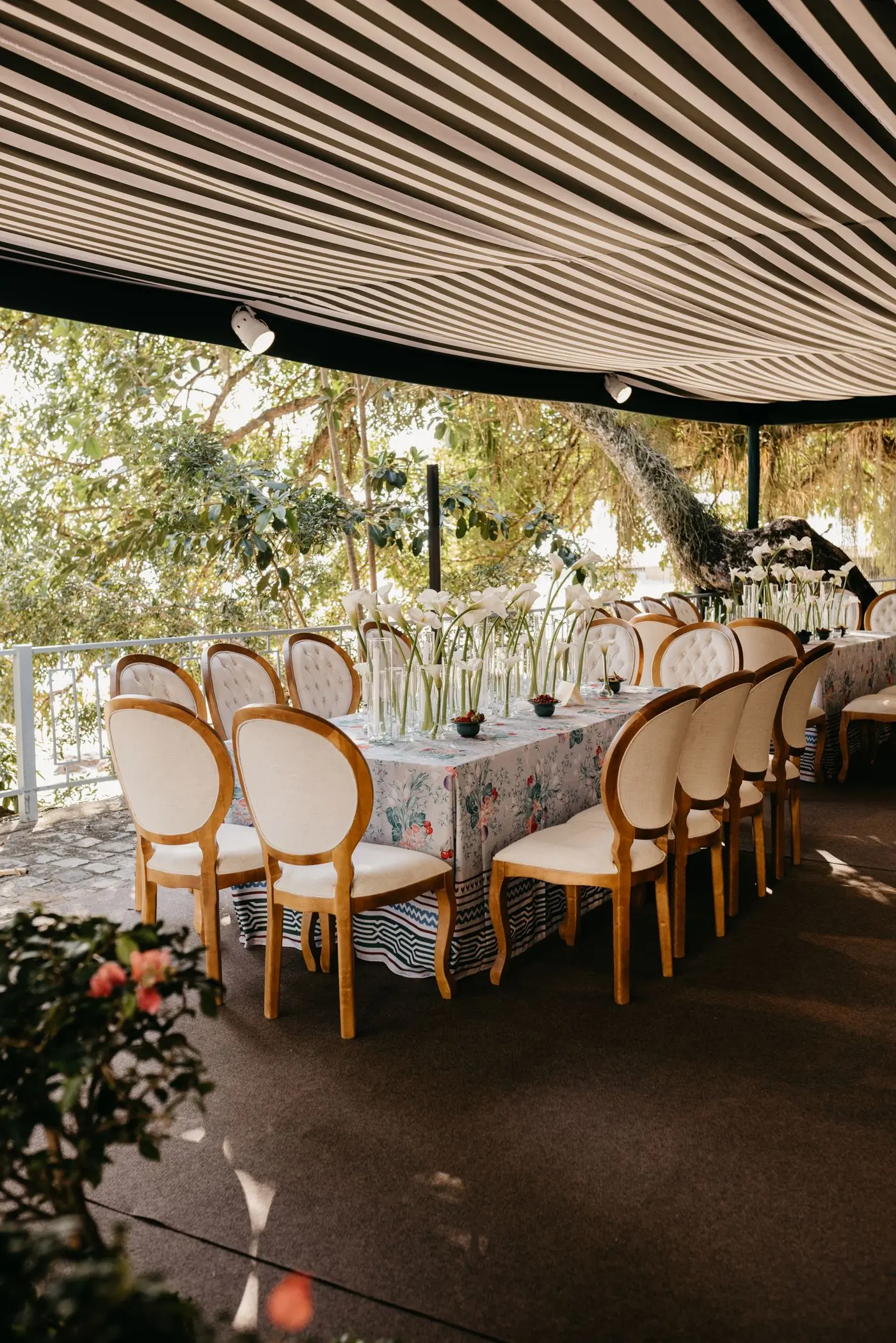 A long table set with glass bud vases under trees, ringed by carved chairs