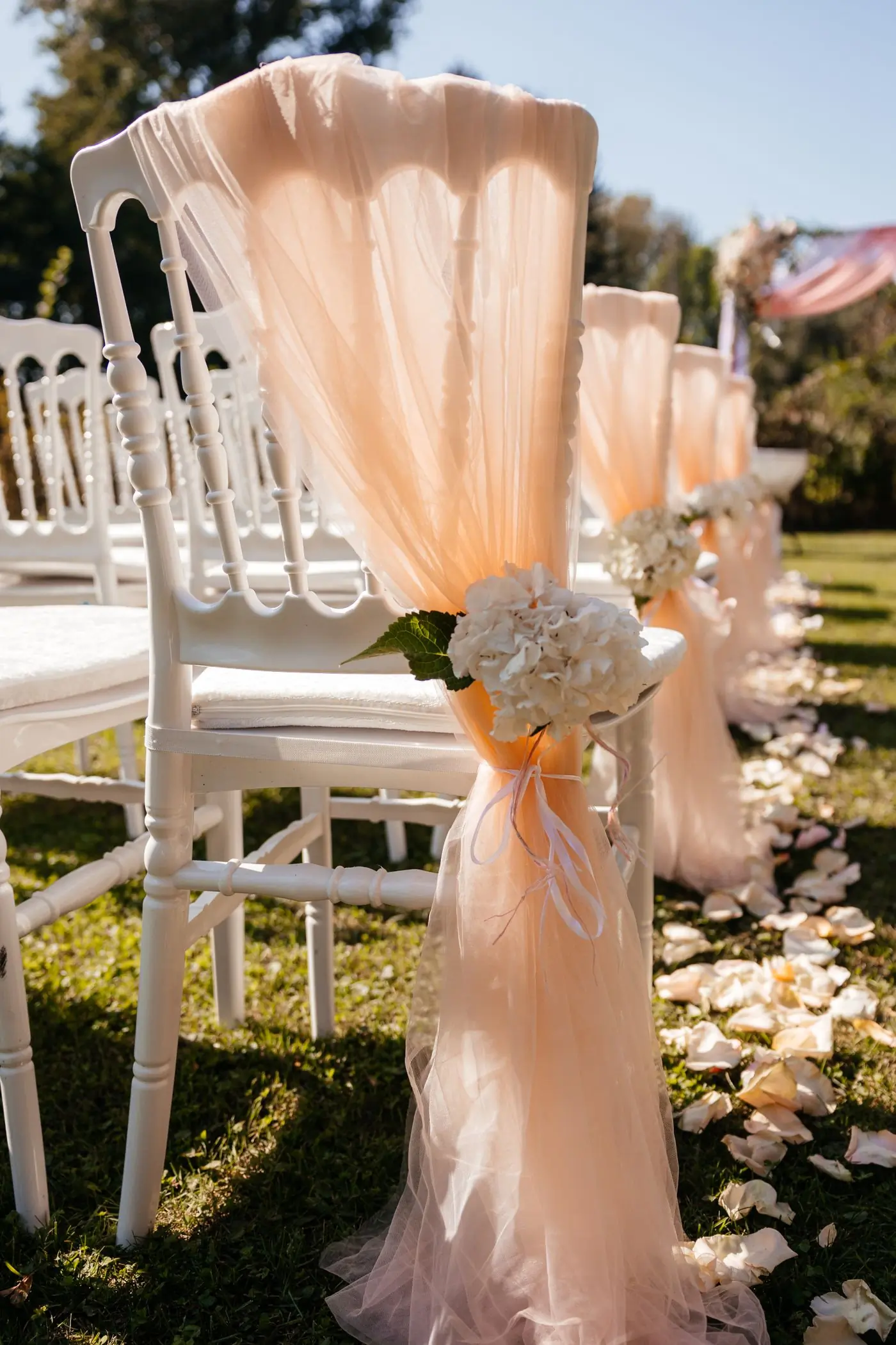 White ceremony chairs draped in peach fabric with hydrangeas along an aisle