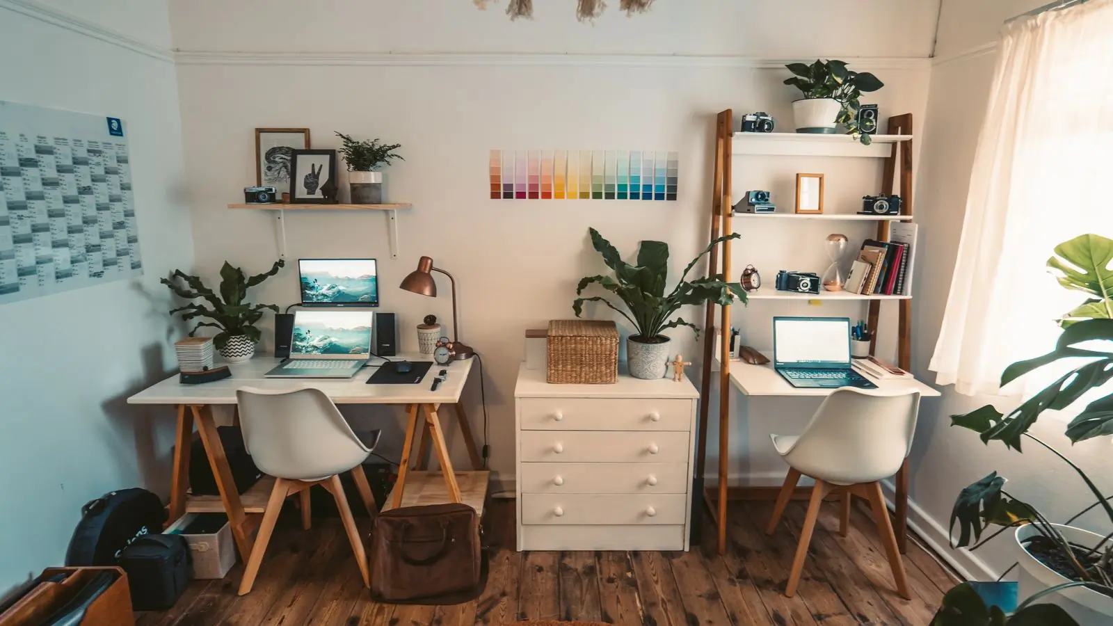 A bright room with two desks, plants and shelves