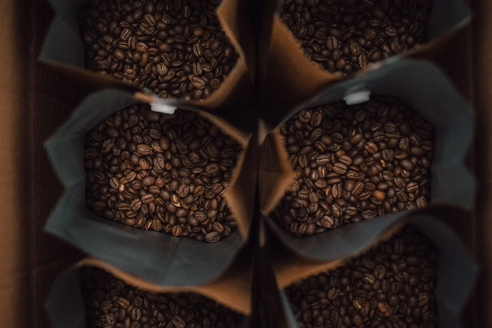 Open kraft bags of freshly roasted beans packed side by side in a crate, seen from above