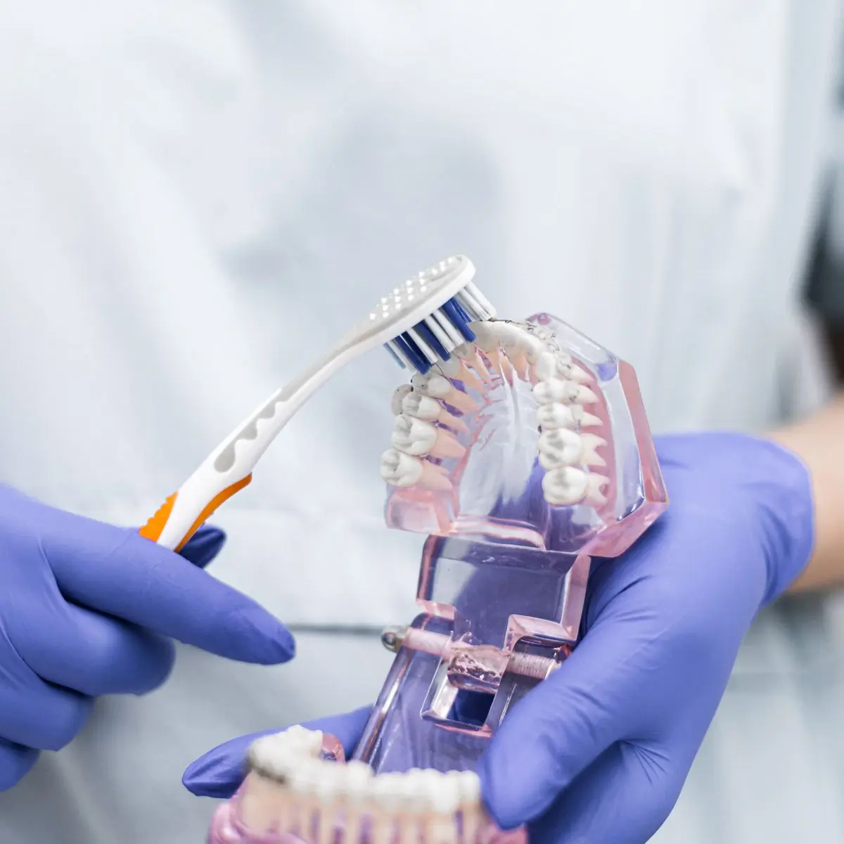 A toothbrush against a dental model, demonstrating technique
