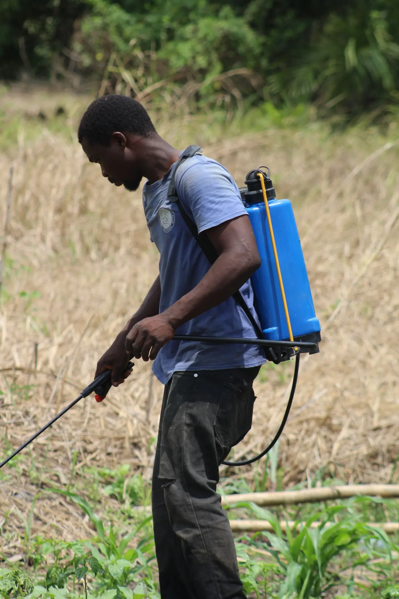 A technician treating a compound with a backpack sprayer