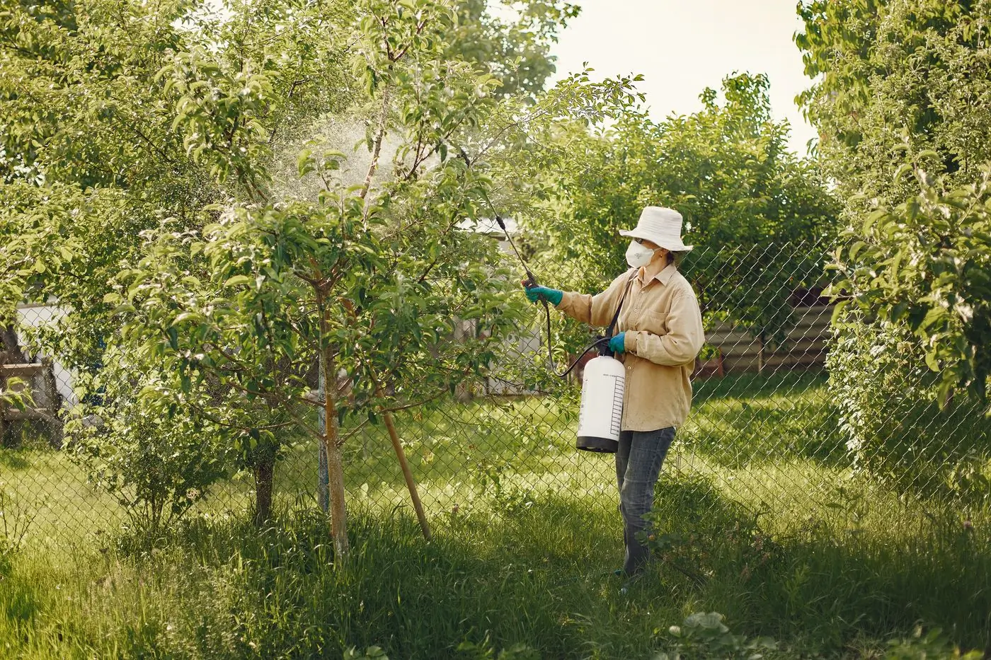 A technician in protective kit spraying a garden hedge
