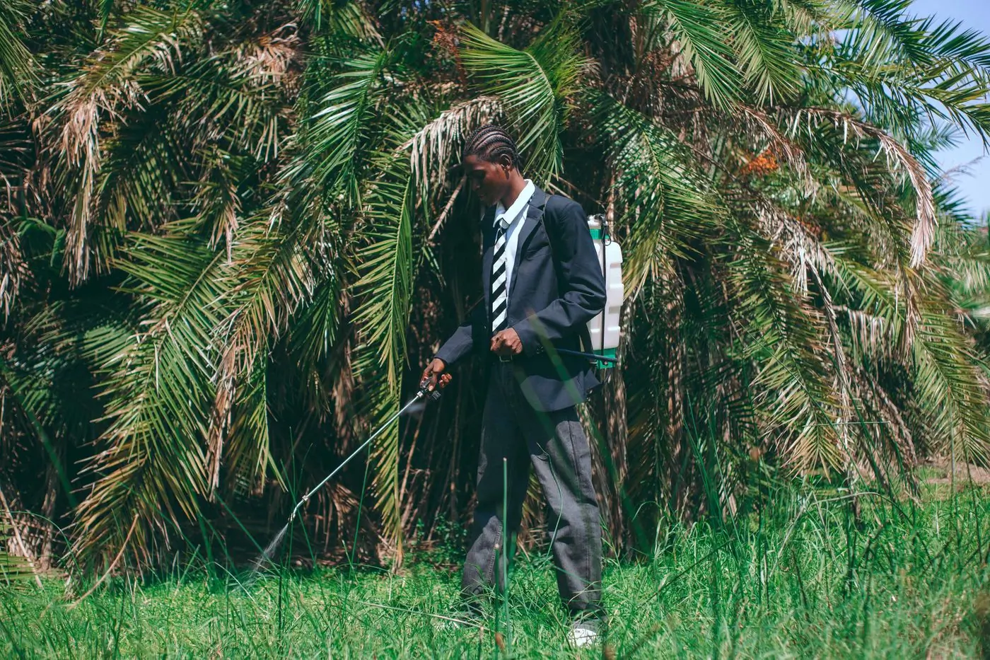 A technician spraying a hedge in a compound