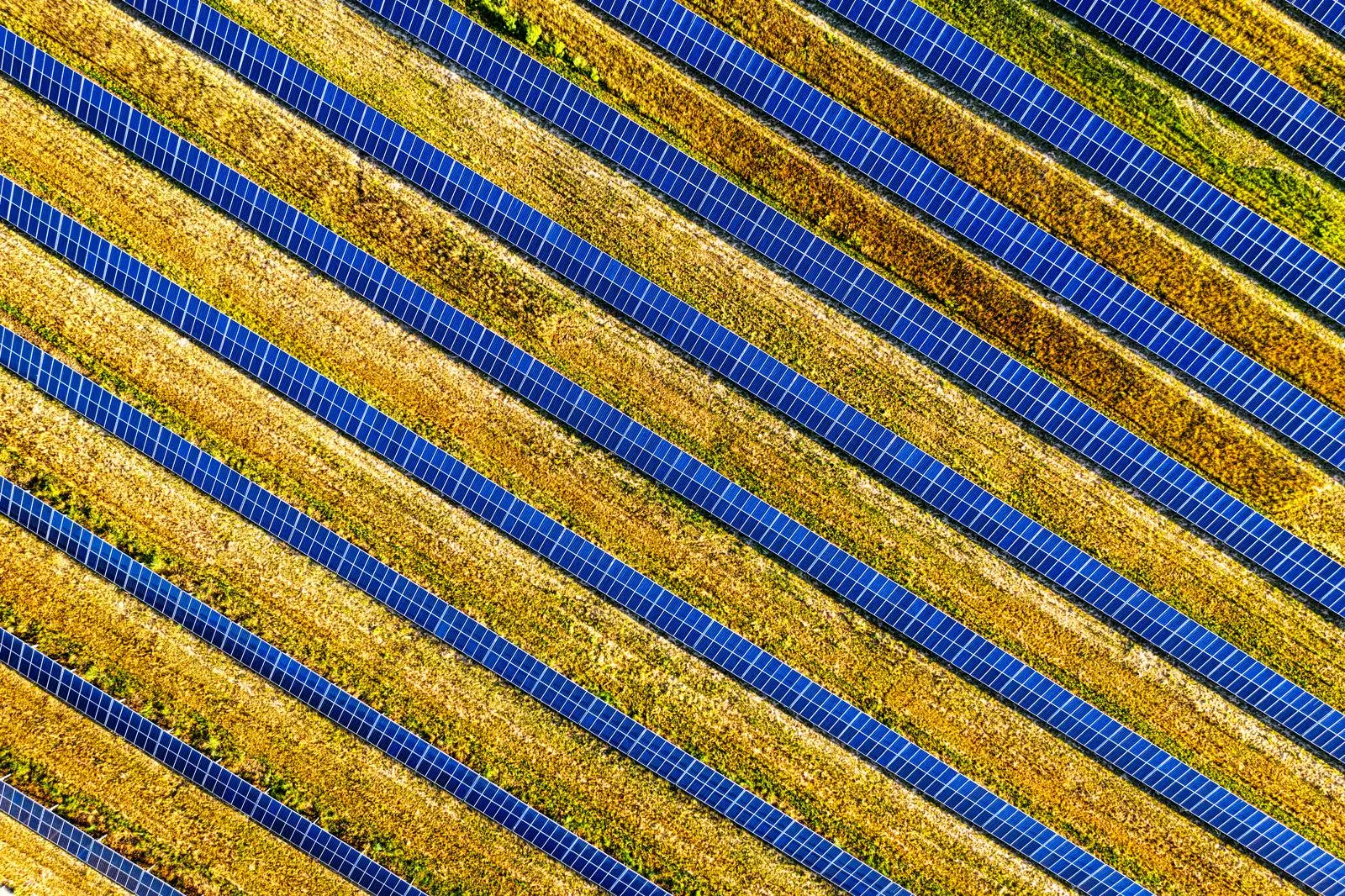 An aerial view of a solar array laid out in diagonal rows across open ground