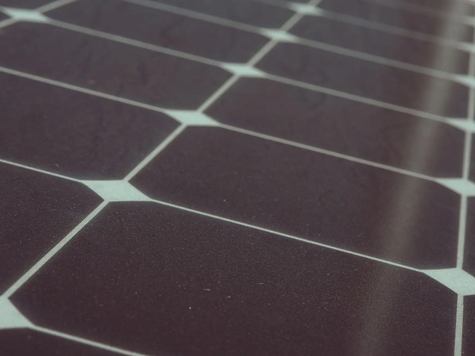 A close view of the dark cells of a solar panel