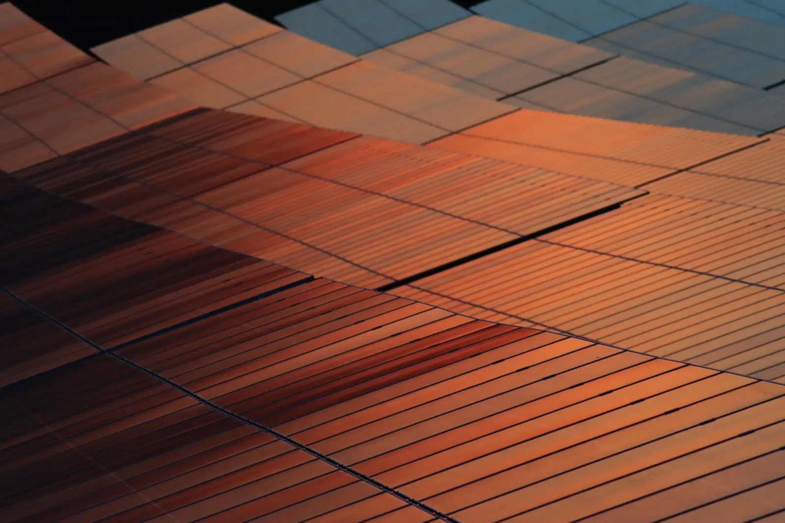 Rows of solar panels catching low orange light at the end of the day