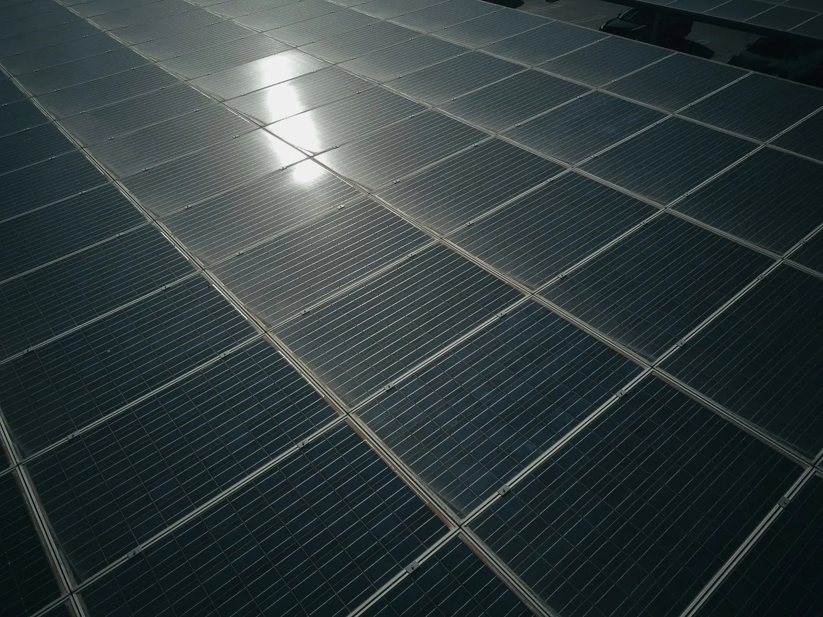 Dark solar panels catching a single point of sun across their surface