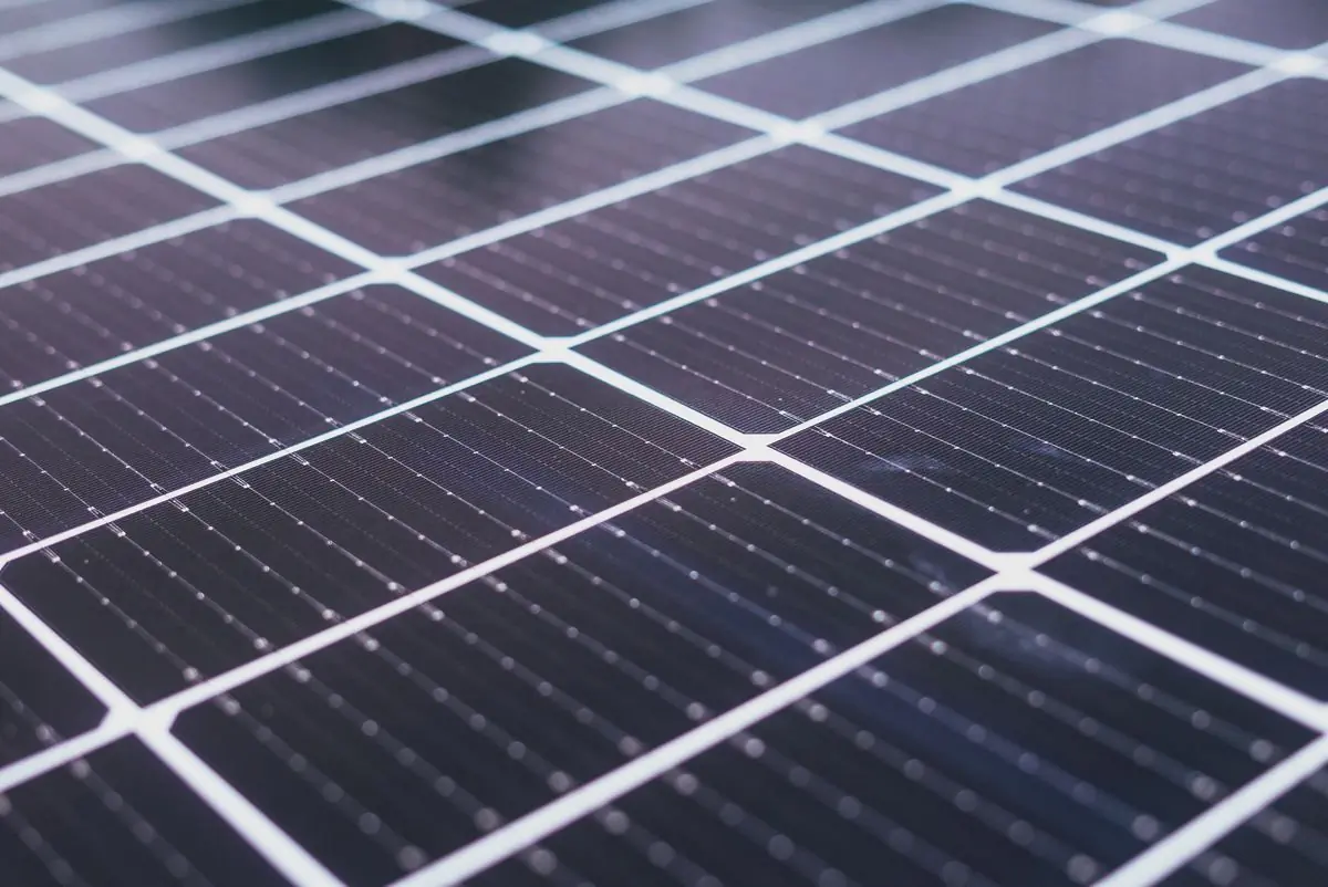 A close view of the cells and busbars of a photovoltaic panel