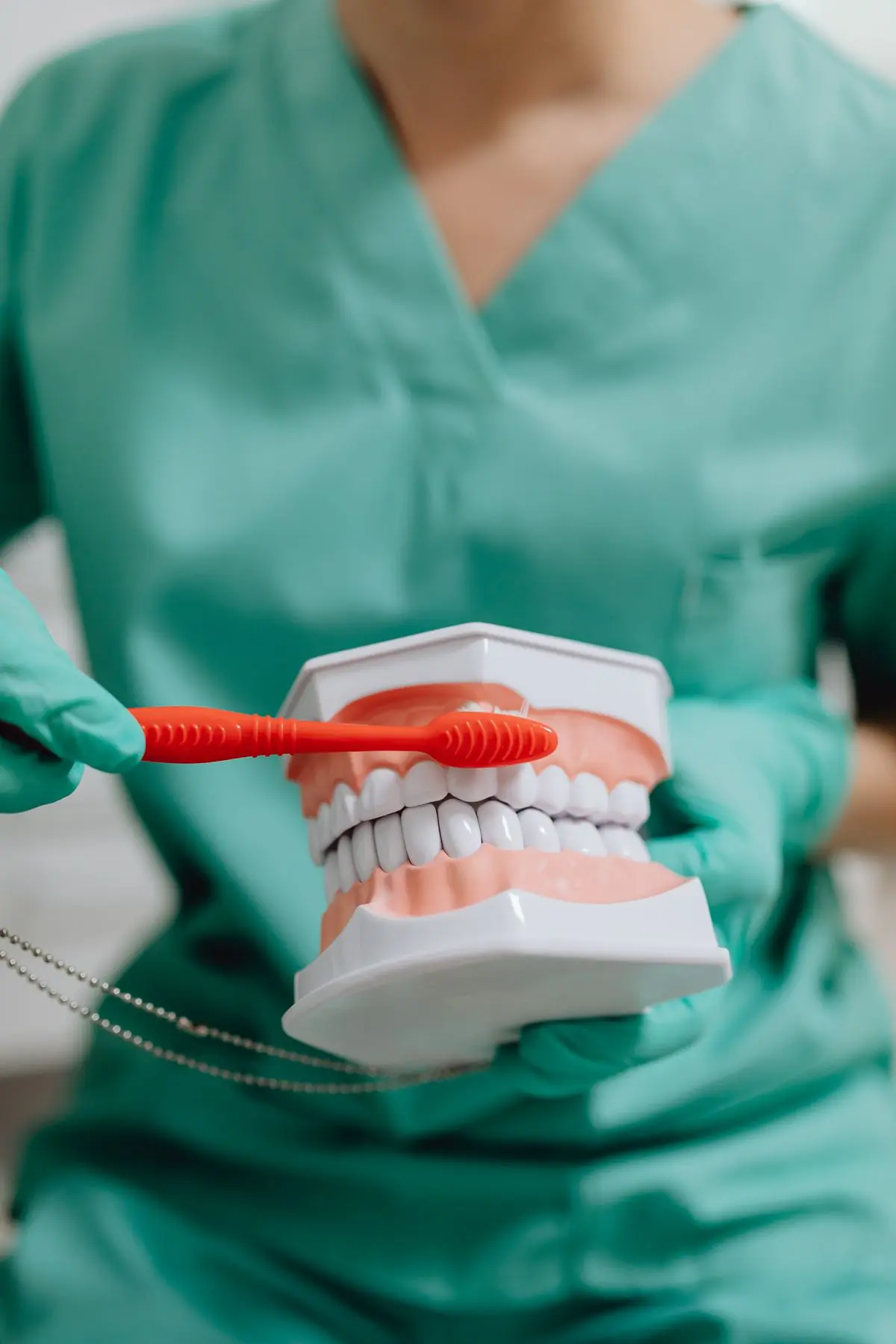 A hygienist demonstrating brushing technique on a dental model