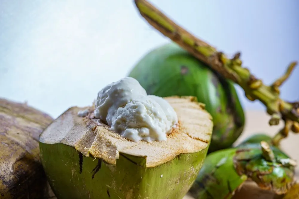 A white coconut scoop topped with toasted shavings in a small bowl