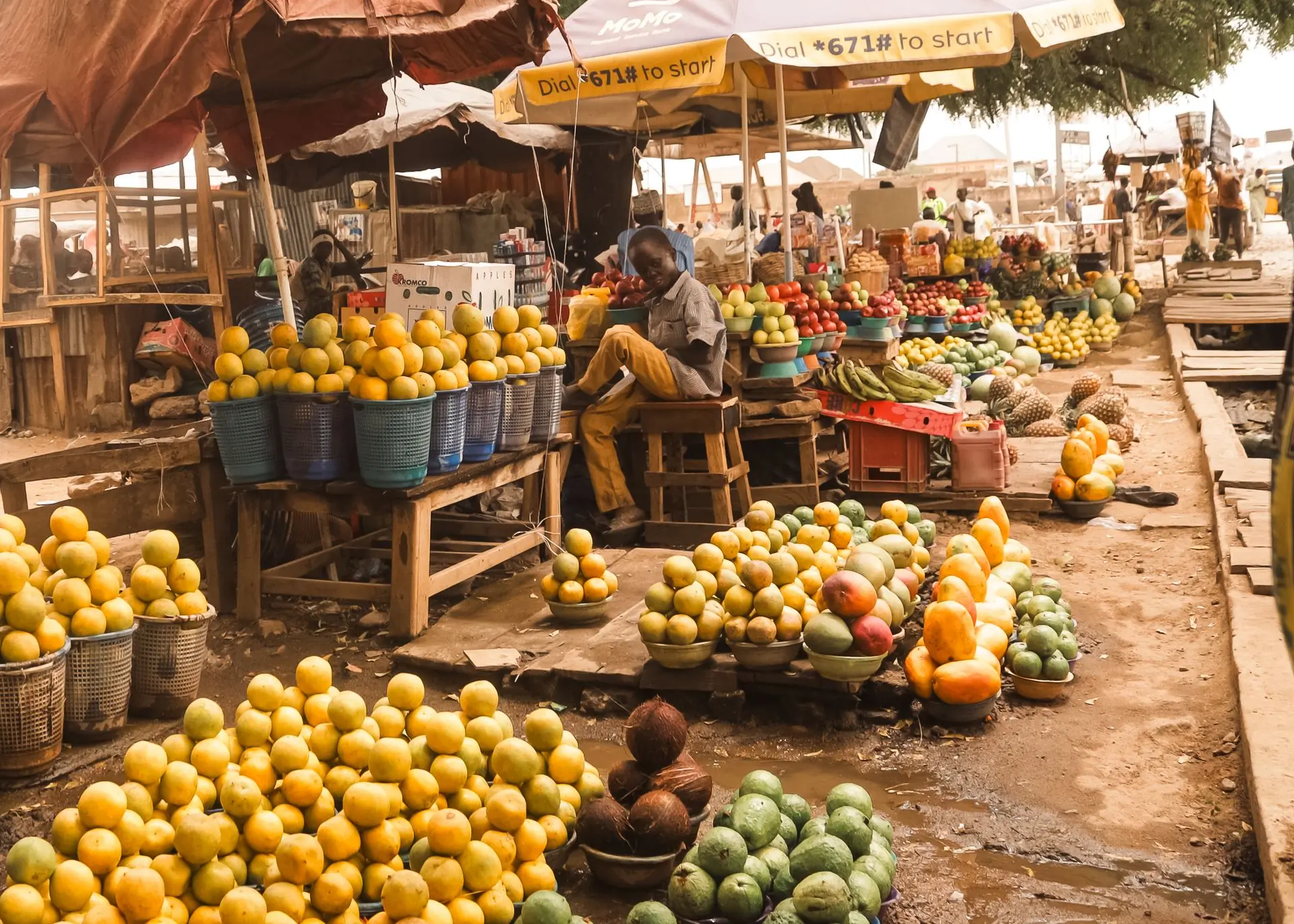 Stalls of oranges piled high under market umbrellas at a West African fruit market