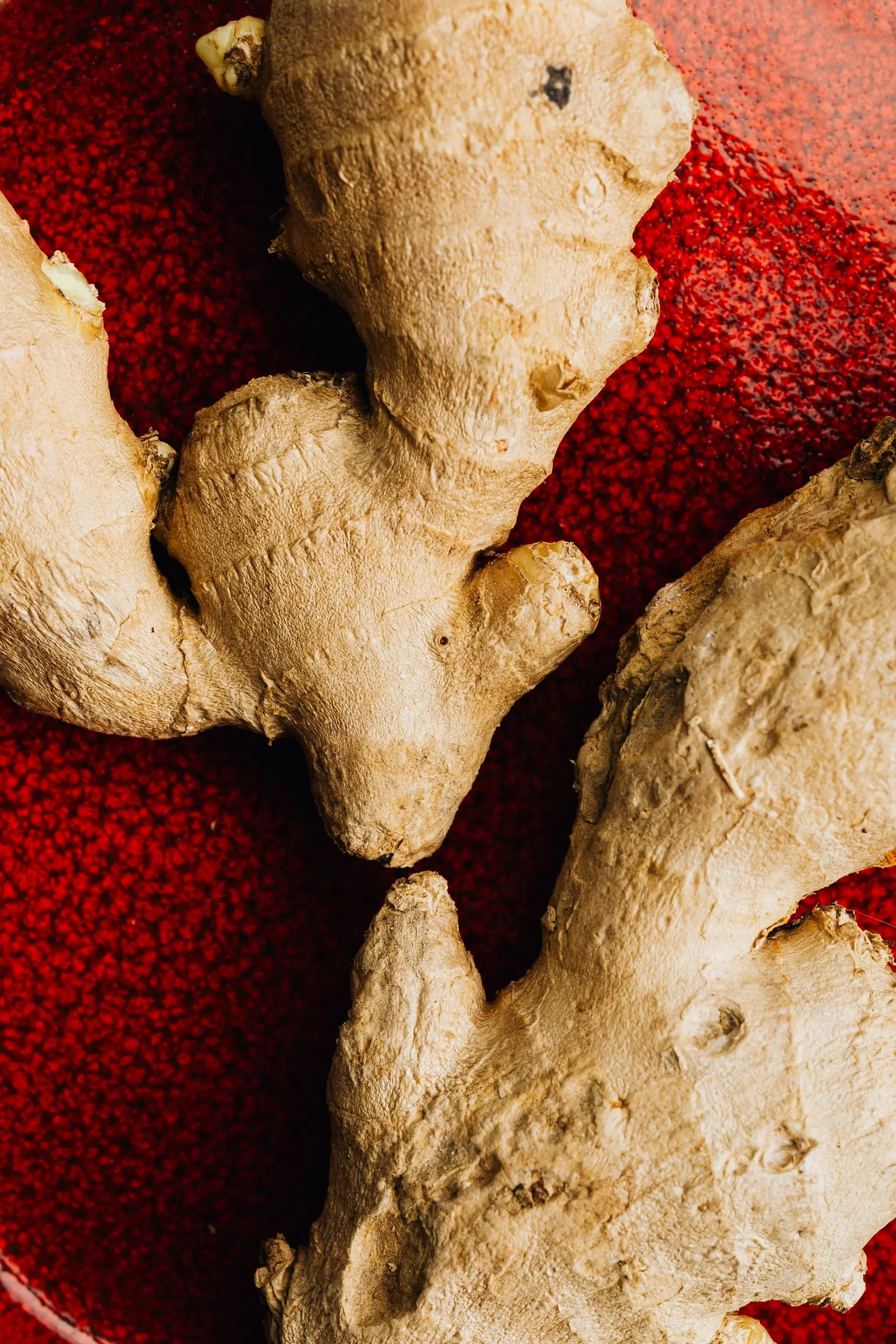 A hand holding a knot of fresh ginger root