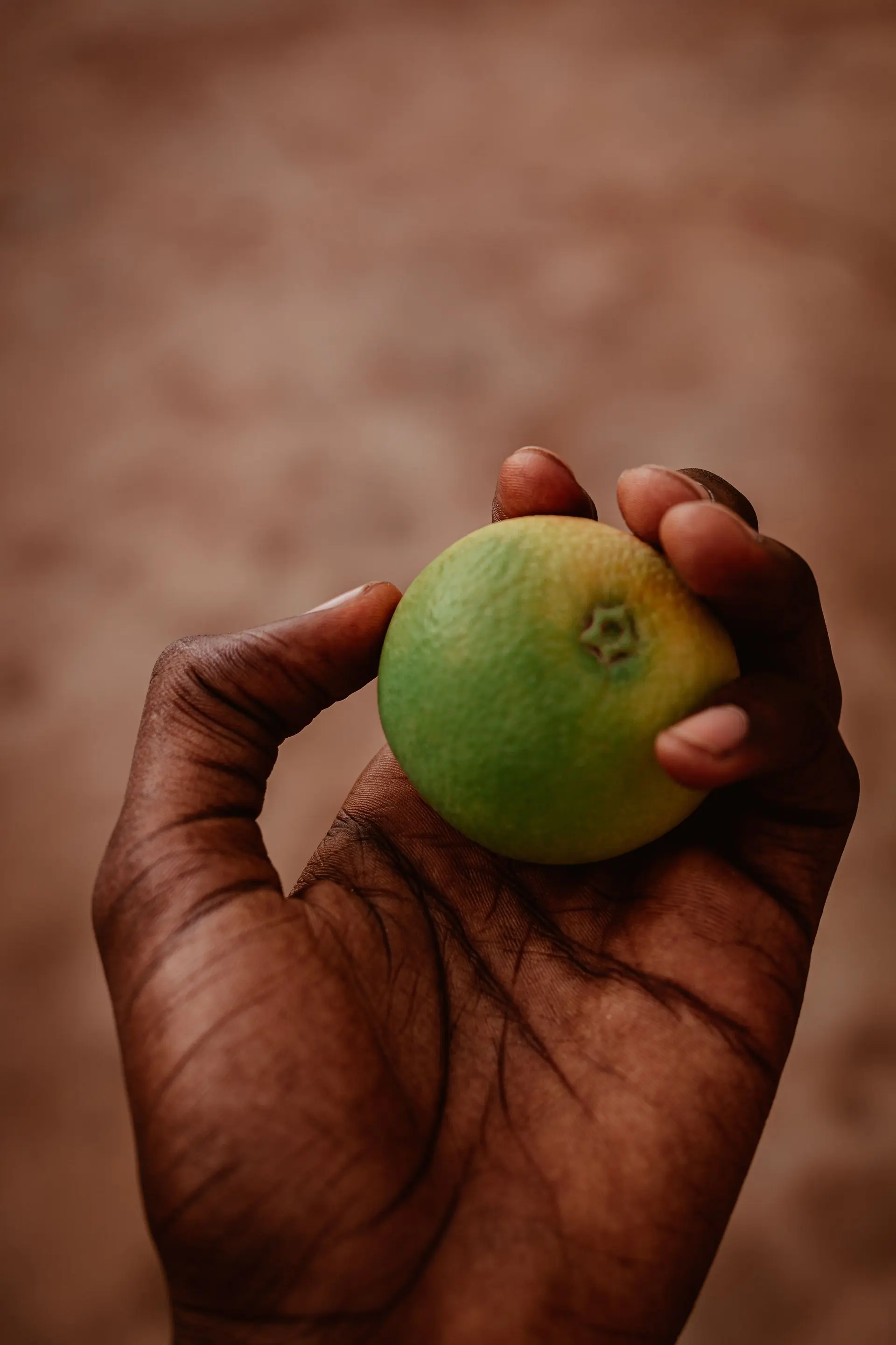A hand holding a halved lime against a green ground