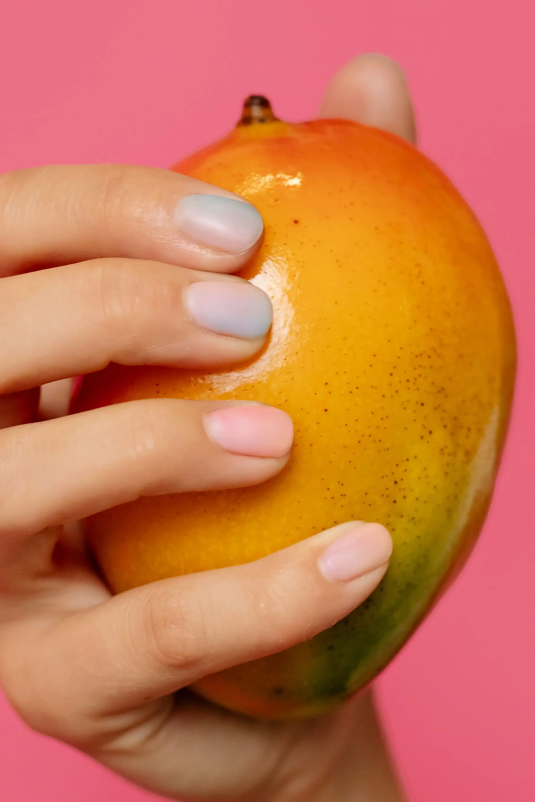 A hand holding a ripe mango against a coloured studio ground