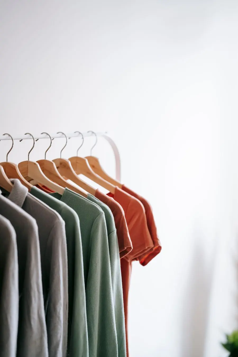Plain tees in six colours on white hangers