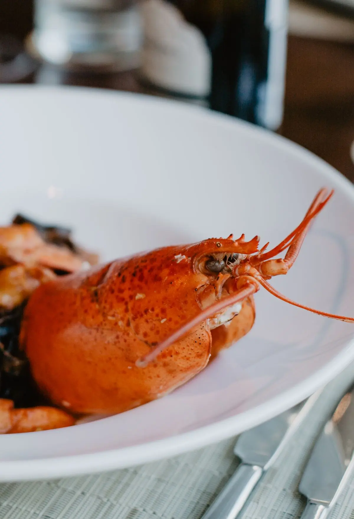 A whole butter lobster served on a plate