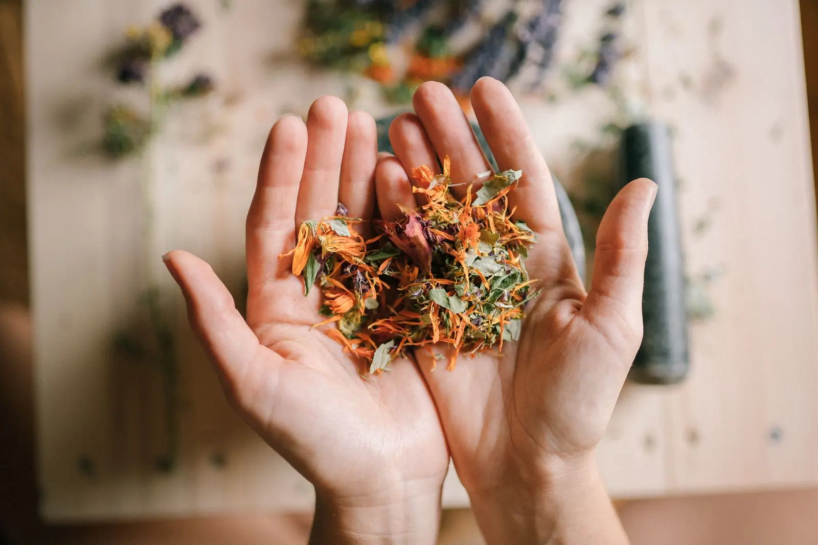 Two cupped hands holding a mound of dried herbs and flower petals above a scarred wooden work table