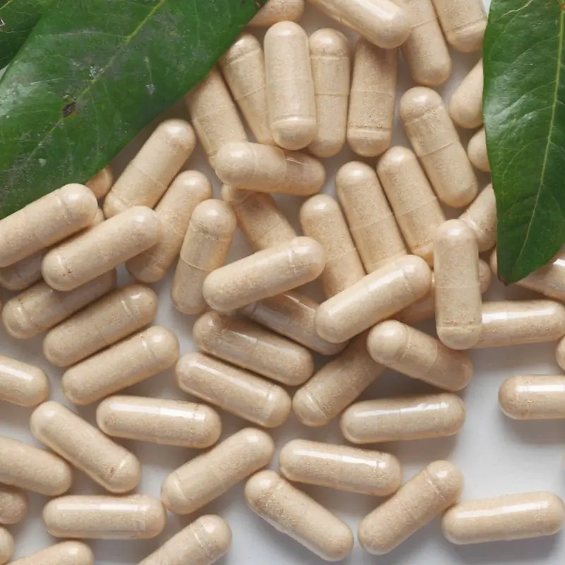 A dense scatter of beige herbal capsules on white with glossy green leaves at the edges