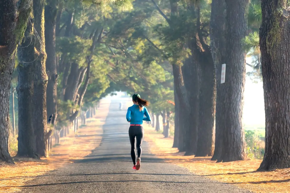 A runner moving down a quiet road lined on both sides with tall pine trees