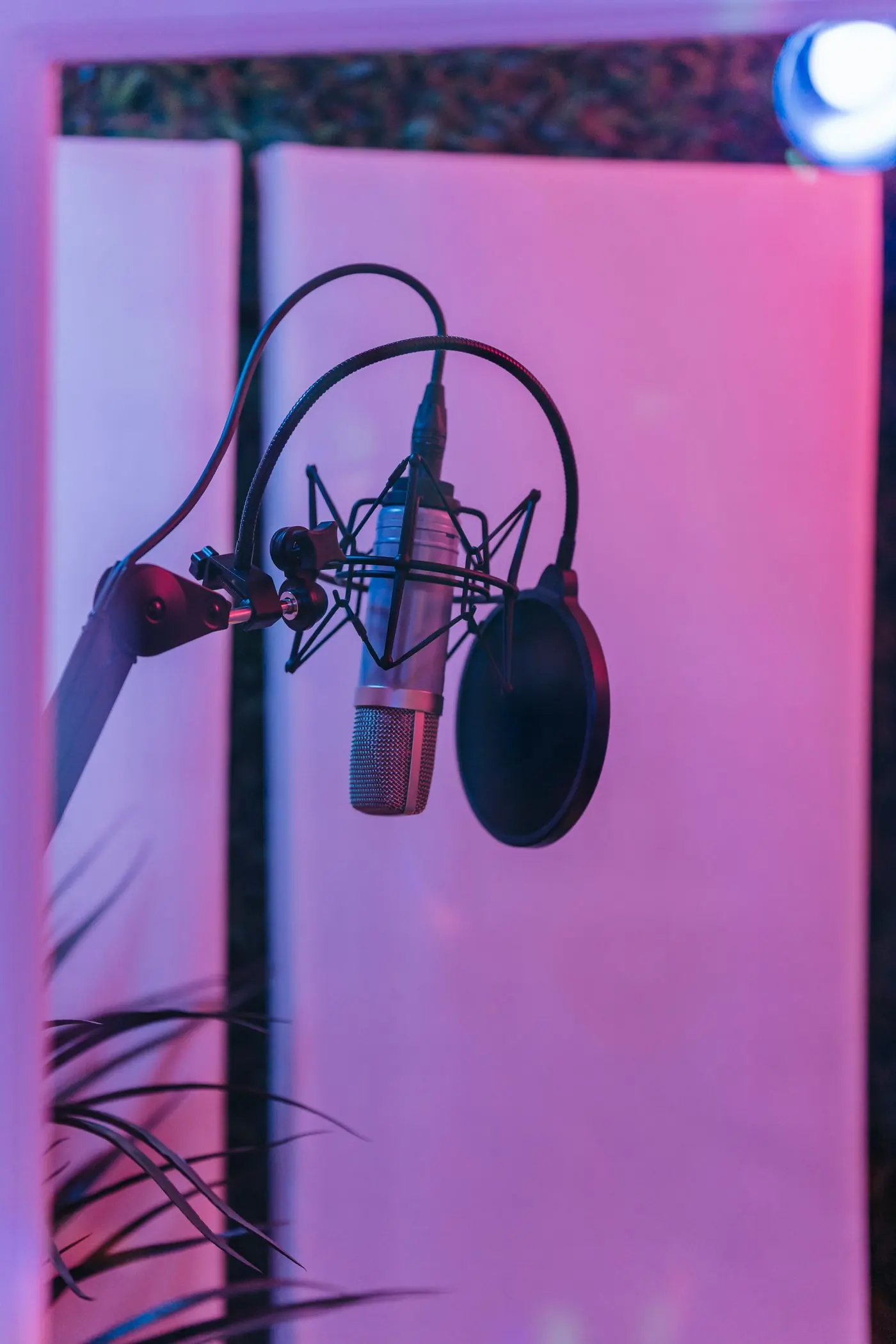A studio condenser microphone lit in pink and blue neon